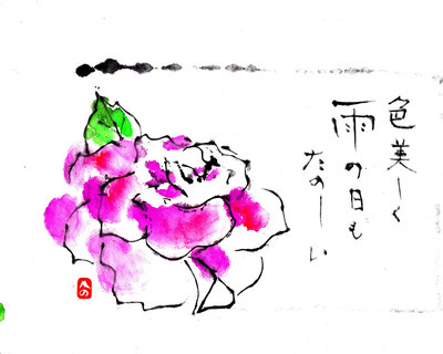 IMG.jpg