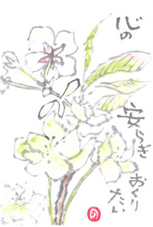 IMG.jpg