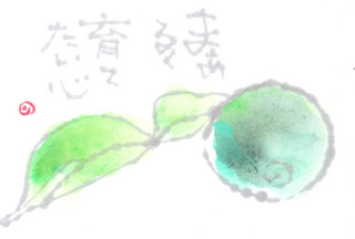 IMG.jpg