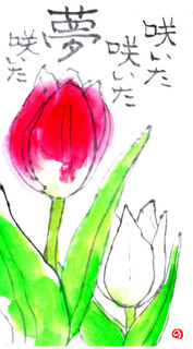 IMG.jpg
