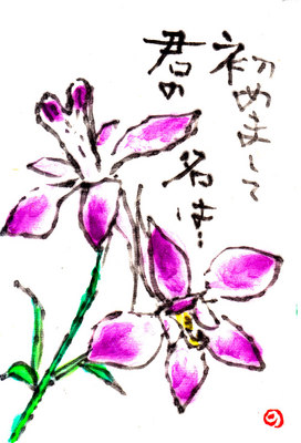 IMG.jpg
