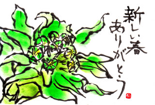 IMG.jpg