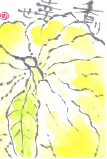 IMG.jpg