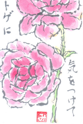 IMG_0001.jpg